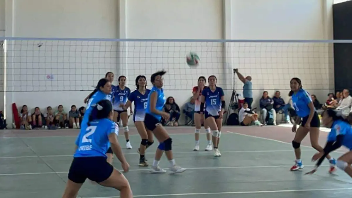 Campeonato nacional de voleibol de sala voleibol jugadores (4)